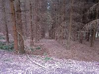 Bild 4 (233 Bildaufrufe)