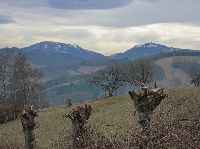 Bild 6 (229 Bildaufrufe)