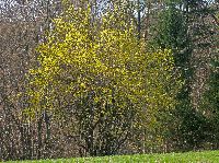 Bild 4 (224 Bildaufrufe)