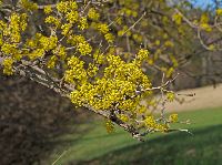 Bild 8 (262 Bildaufrufe)