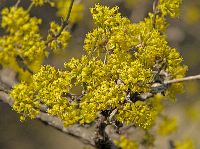 Bild 9 (239 Bildaufrufe)