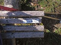 Bild 1 (261 Bildaufrufe)
