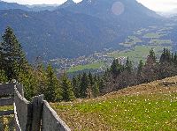 Bild 3 (237 Bildaufrufe)