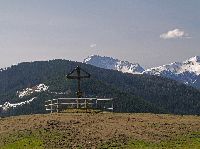 Sattelnock (203 Bildaufrufe)