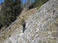 Sattelnock (203 Bildaufrufe)