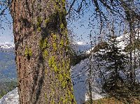 Bild 14 (235 Bildaufrufe)