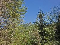 Bild 6 (260 Bildaufrufe)