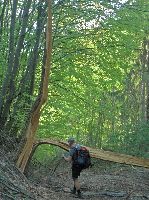 Bild 10 (244 Bildaufrufe)