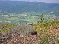 Bild 11 (189 Bildaufrufe)