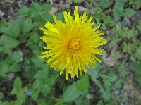 Bild 14 (233 Bildaufrufe)