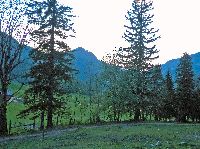 Bild 3 (226 Bildaufrufe)