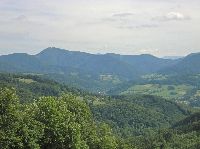Bild 5 (265 Bildaufrufe)