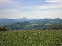 Bild 7 (236 Bildaufrufe)