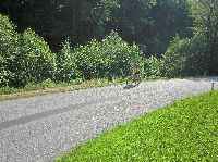 Bild 10 (211 Bildaufrufe)