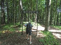 Bild 11 (220 Bildaufrufe)