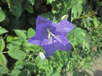 Bild 14 (192 Bildaufrufe)