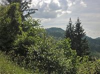 Bild 16 (189 Bildaufrufe)