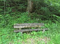 Bild 5 (250 Bildaufrufe)