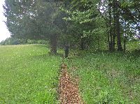 Bild 8 (199 Bildaufrufe)