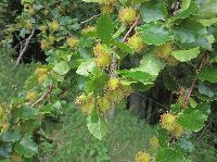 Bild 9 (230 Bildaufrufe)