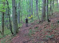 Bild 10 (250 Bildaufrufe)