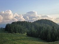Bild 13 (229 Bildaufrufe)
