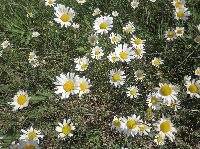 Bild 3 (263 Bildaufrufe)