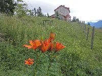 Bild 7 (262 Bildaufrufe)