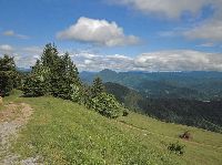 Bild 9 (230 Bildaufrufe)