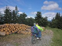 Bild 12 (291 Bildaufrufe)