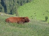 Bild 13 (279 Bildaufrufe)