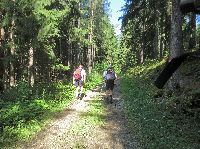 Bild 2 (218 Bildaufrufe)