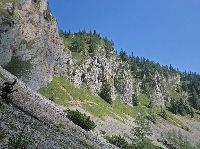 Bild 5 (201 Bildaufrufe)