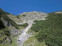Bild 6 (283 Bildaufrufe)