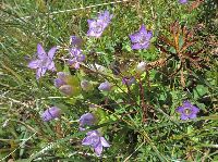 Bild 7 (261 Bildaufrufe)