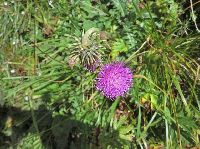 Bild 8 (168 Bildaufrufe)
