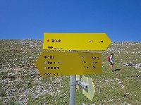 Bild 9 (254 Bildaufrufe)