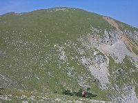 Bild 20 (196 Bildaufrufe)