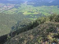 Bild 23 (182 Bildaufrufe)