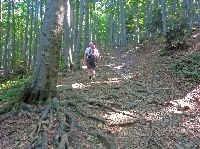 Bild 8 (275 Bildaufrufe)