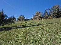Bild 8 (237 Bildaufrufe)