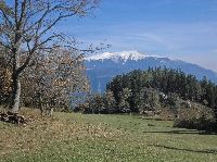Bild 10 (188 Bildaufrufe)