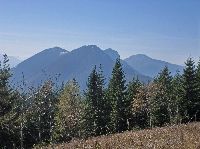 Bild 12 (193 Bildaufrufe)