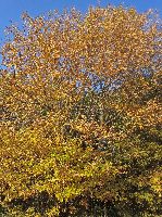 Bild 12 (232 Bildaufrufe)