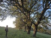 Bild 13 (217 Bildaufrufe)