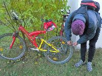 Bild 14 (190 Bildaufrufe)