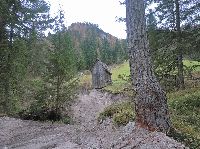 Geiger (211 Bildaufrufe)