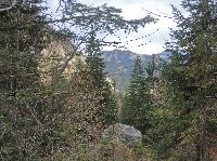 Bild 5 (186 Bildaufrufe)