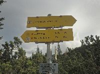 Bild 11 (207 Bildaufrufe)