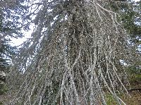 Bild 13 (201 Bildaufrufe)
